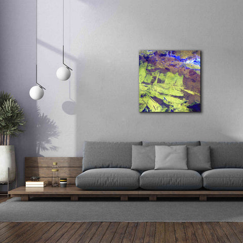 Image of 'Earth as Art: Lake Amadeus' Canvas Wall Art,37 x 37