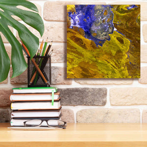 'Earth as Art: Lake Disappointment' Canvas Wall Art,12 x 12