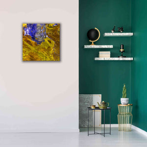 'Earth as Art: Lake Disappointment' Canvas Wall Art,26 x 26