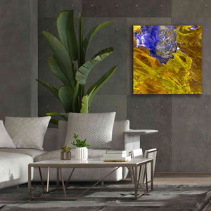 'Earth as Art: Lake Disappointment' Canvas Wall Art,37 x 37