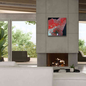'Earth as Art: Mt. Etna' Canvas Wall Art,26 x 26