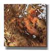 'Earth as Art: North America' Canvas Wall Art
