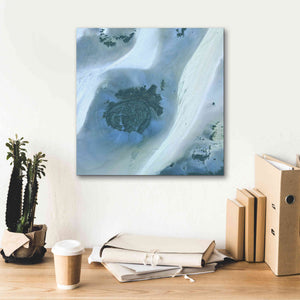 'Earth as Art: Sahara Desert' Canvas Wall Art,18 x 18