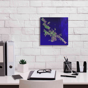 'Earth as Art: Shetland Islands' Canvas Wall Art,12 x 12