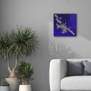 'Earth as Art: Shetland Islands' Canvas Wall Art,18 x 18