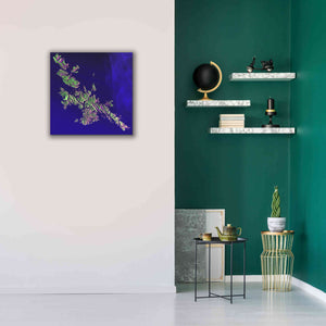 'Earth as Art: Shetland Islands' Canvas Wall Art,26 x 26