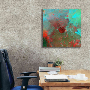 'Earth as Art: The Syrian Desert' Canvas Wall Art,26 x 26