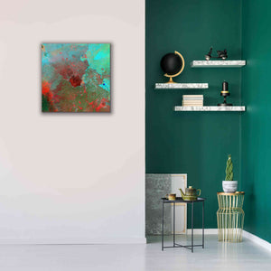 'Earth as Art: The Syrian Desert' Canvas Wall Art,26 x 26