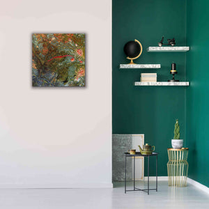 'Earth as Art: Anyuyskiy Volcano,' Canvas Wall Art,26 x 26