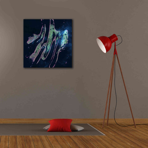 Image of 'Earth as Art: Belcher Islands,' Canvas Wall Art,26 x 26