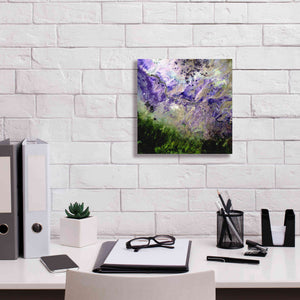 'Earth as Art: Desert to Forest,' Canvas Wall Art,12 x 12