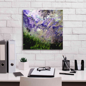 'Earth as Art: Desert to Forest,' Canvas Wall Art,18 x 18