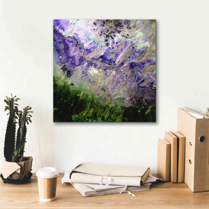 'Earth as Art: Desert to Forest,' Canvas Wall Art,18 x 18