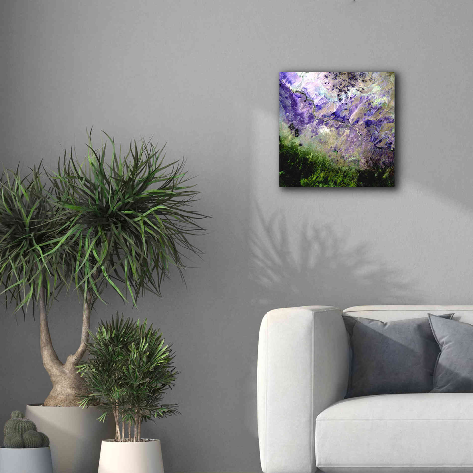'Earth as Art: Desert to Forest,' Canvas Wall Art,18 x 18