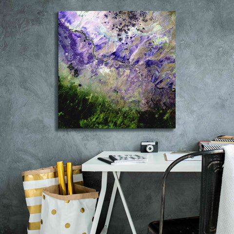 Image of 'Earth as Art: Desert to Forest,' Canvas Wall Art,26 x 26