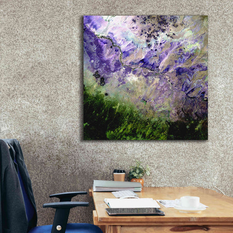Image of 'Earth as Art: Desert to Forest,' Canvas Wall Art,37 x 37