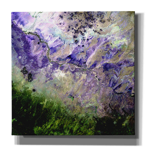 Image of 'Earth as Art: Desert to Forest,' Canvas Wall Art
