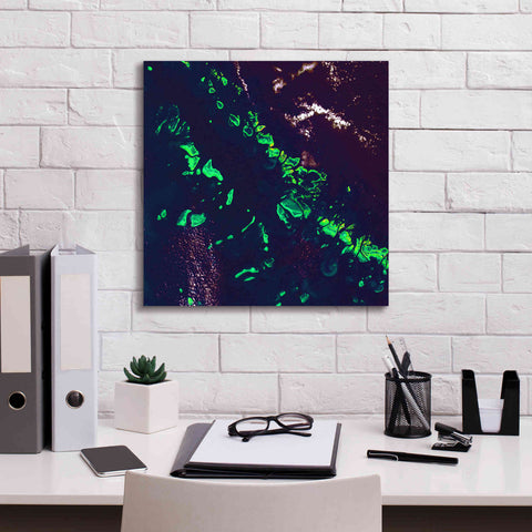 Image of 'Earth as Art: Great Barrier Reef,' Canvas Wall Art,18 x 18