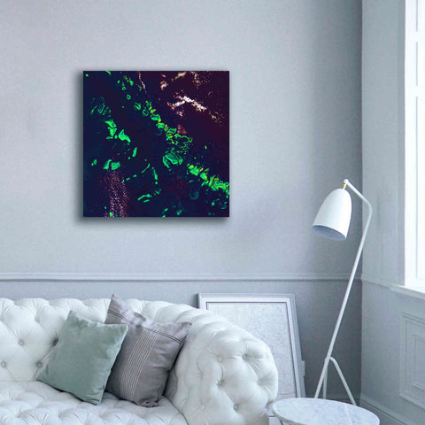 Image of 'Earth as Art: Great Barrier Reef,' Canvas Wall Art,37 x 37