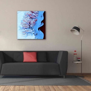 'Earth as Art: Ice Waves,' Canvas Wall Art,37 x 37