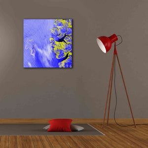'Earth as Art: Meighen Island,' Canvas Wall Art,26 x 26