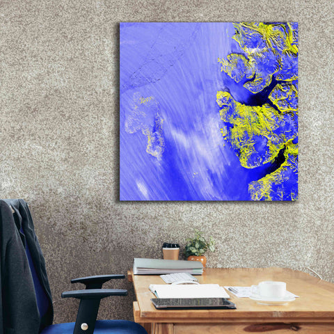 Image of 'Earth as Art: Meighen Island,' Canvas Wall Art,37 x 37