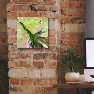 'Earth as Art: Okavango Delta,' Canvas Wall Art,12 x 12