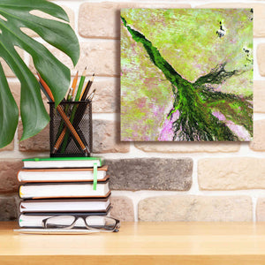 'Earth as Art: Okavango Delta,' Canvas Wall Art,12 x 12