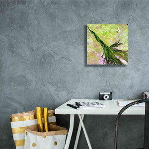 'Earth as Art: Okavango Delta,' Canvas Wall Art,12 x 12
