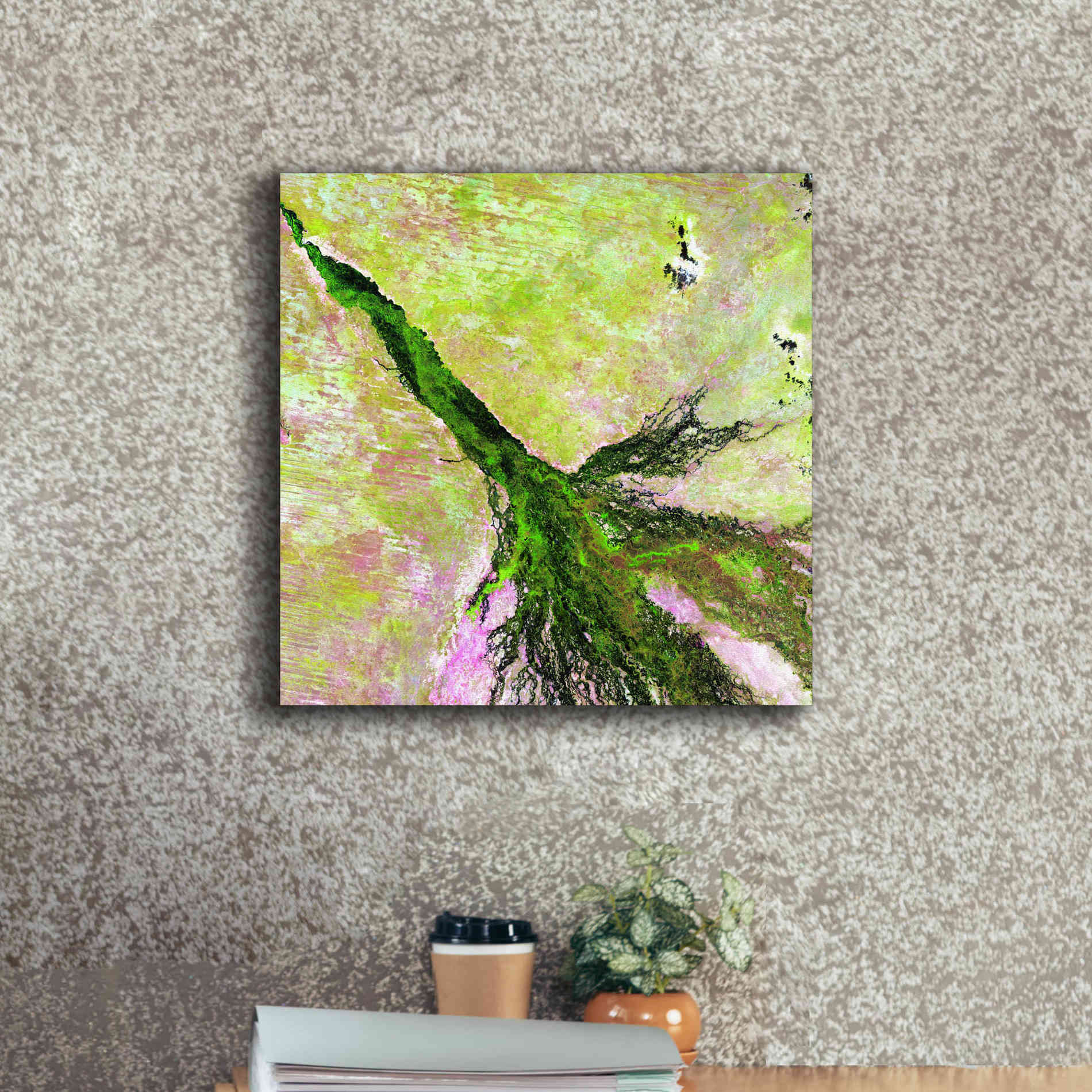 'Earth as Art: Okavango Delta,' Canvas Wall Art,18 x 18