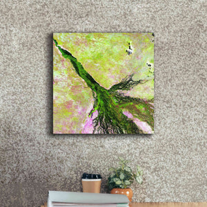 'Earth as Art: Okavango Delta,' Canvas Wall Art,18 x 18