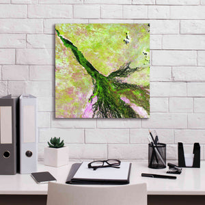 'Earth as Art: Okavango Delta,' Canvas Wall Art,18 x 18