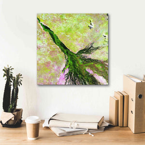 'Earth as Art: Okavango Delta,' Canvas Wall Art,18 x 18