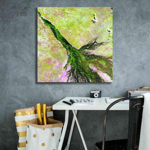 'Earth as Art: Okavango Delta,' Canvas Wall Art,26 x 26