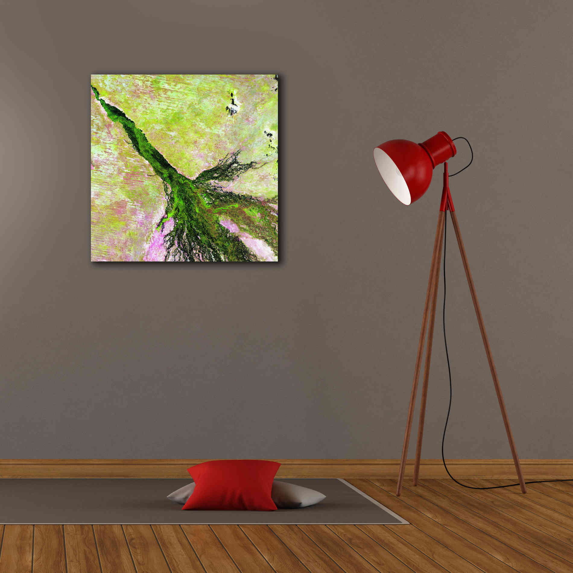 'Earth as Art: Okavango Delta,' Canvas Wall Art,26 x 26