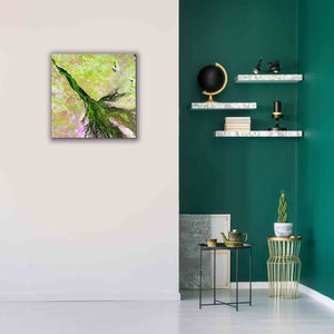 'Earth as Art: Okavango Delta,' Canvas Wall Art,26 x 26