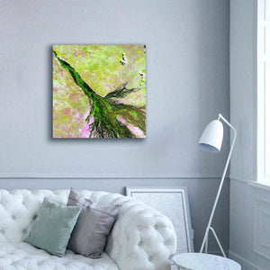 'Earth as Art: Okavango Delta,' Canvas Wall Art,37 x 37