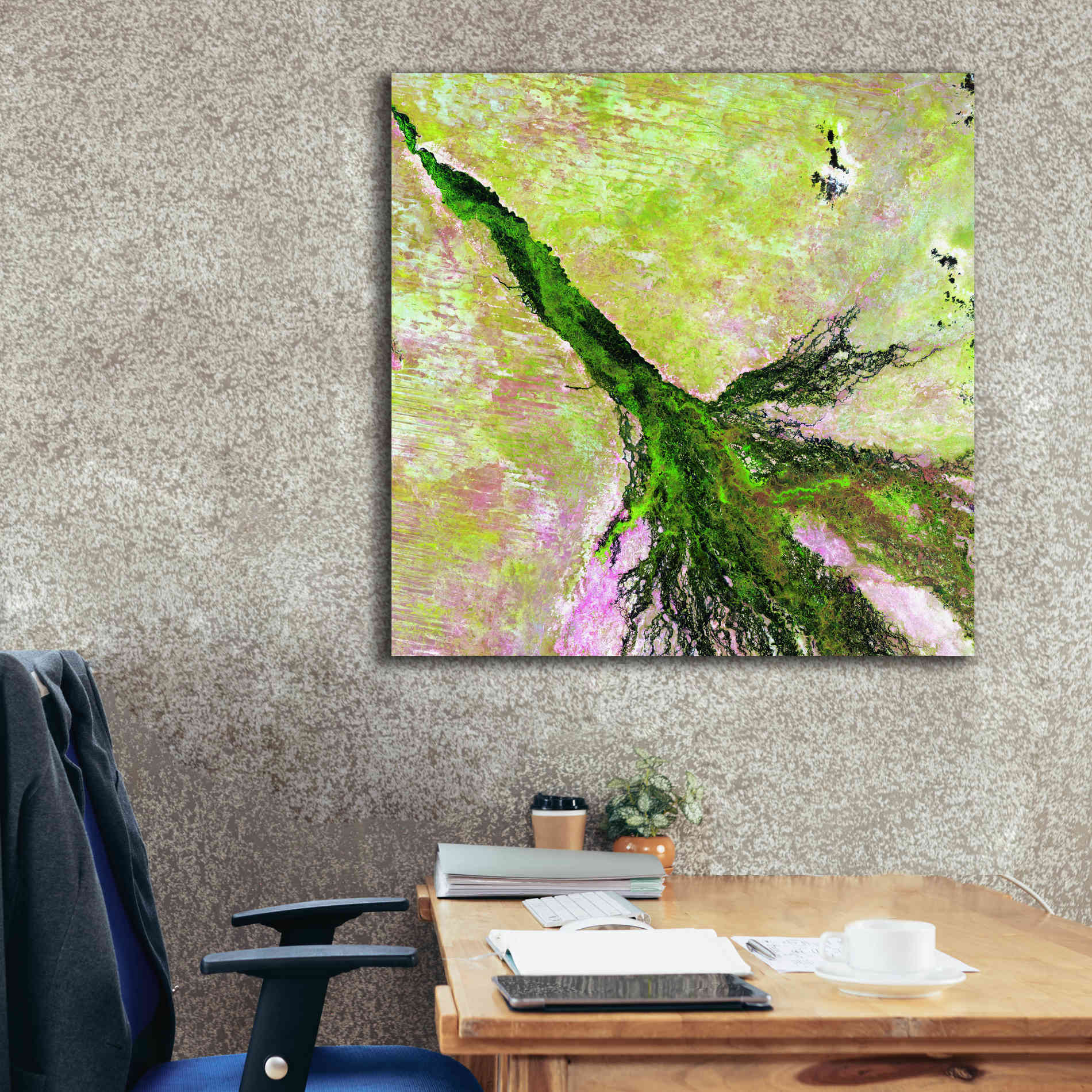 'Earth as Art: Okavango Delta,' Canvas Wall Art,37 x 37