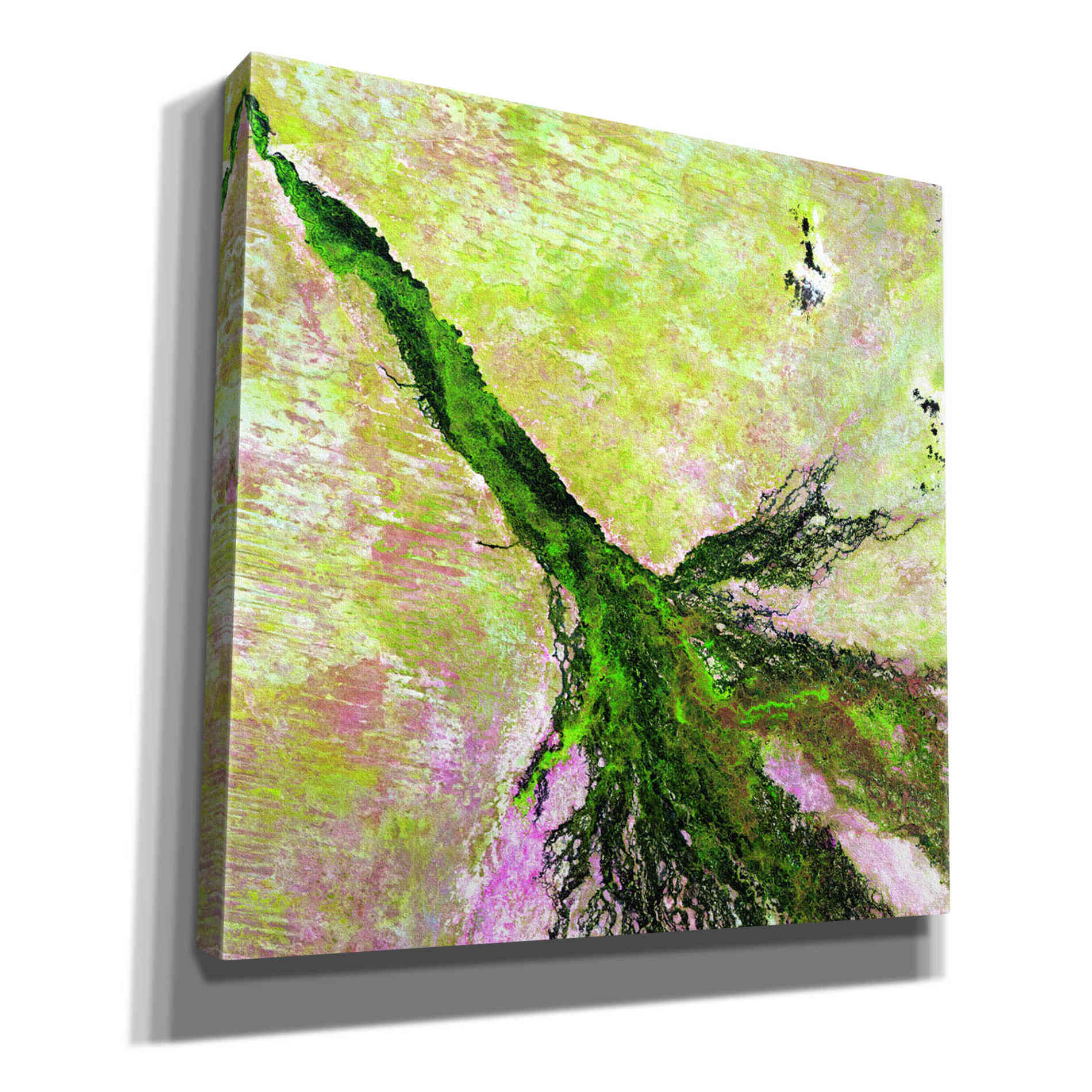 'Earth as Art: Okavango Delta,' Canvas Wall Art,12x12x1.1x0,18x18x1.1x0,26x26x1.74x0,37x37x1.74x0
