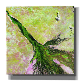 'Earth as Art: Okavango Delta,' Canvas Wall Art,12x12x1.1x0,18x18x1.1x0,26x26x1.74x0,37x37x1.74x0
