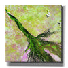 'Earth as Art: Okavango Delta,' Canvas Wall Art,12x12x1.1x0,18x18x1.1x0,26x26x1.74x0,37x37x1.74x0