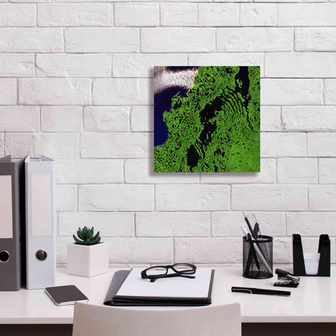 Image of 'Earth as Art: Remote Tundra,' Canvas Wall Art,12 x 12