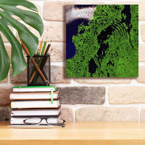 'Earth as Art: Remote Tundra,' Canvas Wall Art,12 x 12