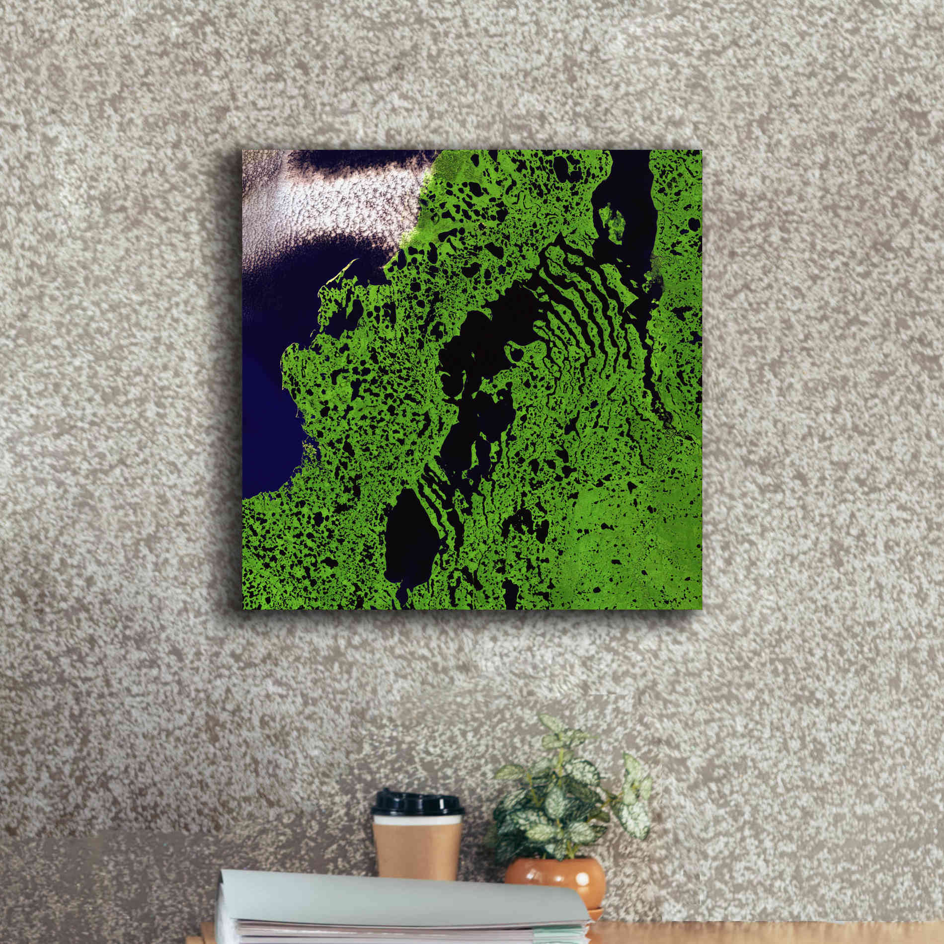 'Earth as Art: Remote Tundra,' Canvas Wall Art,18 x 18