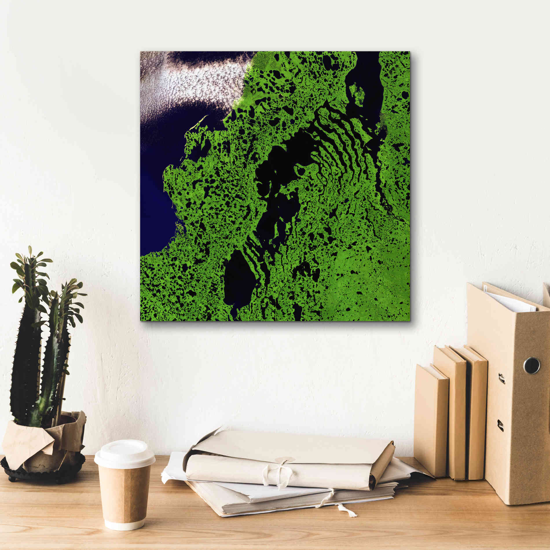 'Earth as Art: Remote Tundra,' Canvas Wall Art,18 x 18