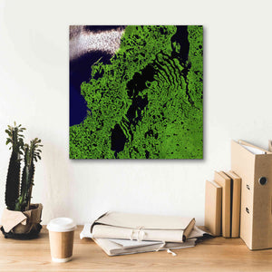 'Earth as Art: Remote Tundra,' Canvas Wall Art,18 x 18
