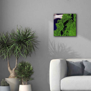 'Earth as Art: Remote Tundra,' Canvas Wall Art,18 x 18