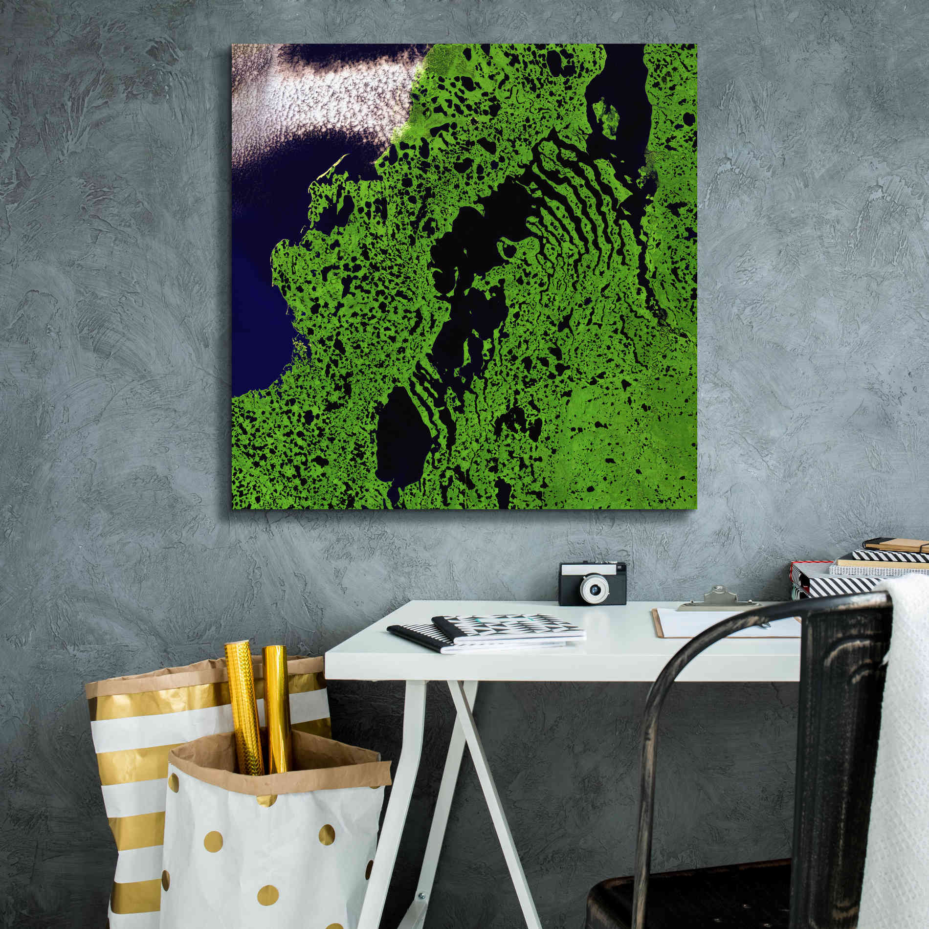'Earth as Art: Remote Tundra,' Canvas Wall Art,26 x 26