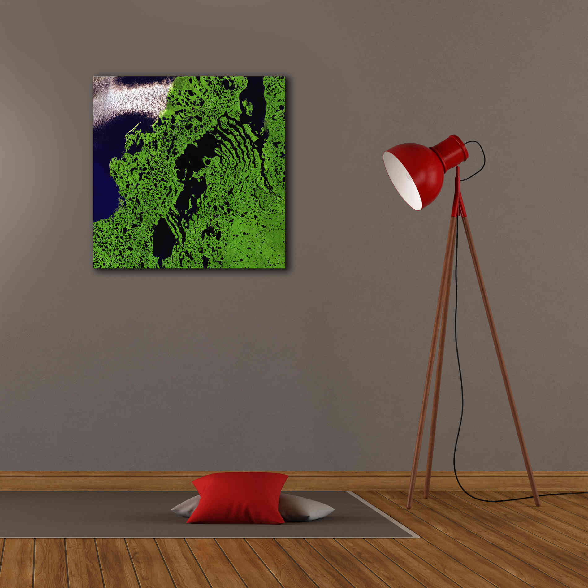 'Earth as Art: Remote Tundra,' Canvas Wall Art,26 x 26