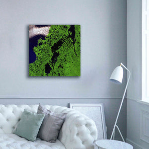 'Earth as Art: Remote Tundra,' Canvas Wall Art,37 x 37